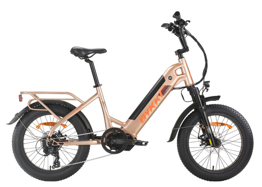 Genuine BYKKI FAT-EP5 Electric Bike 20 Inch Mid motor snow E bike